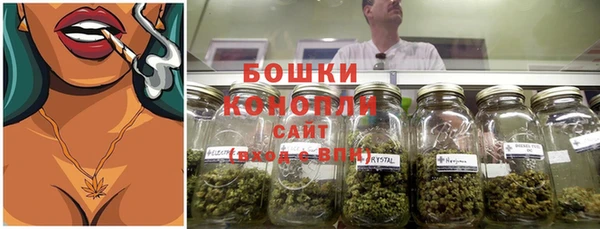 гидропоника Богданович