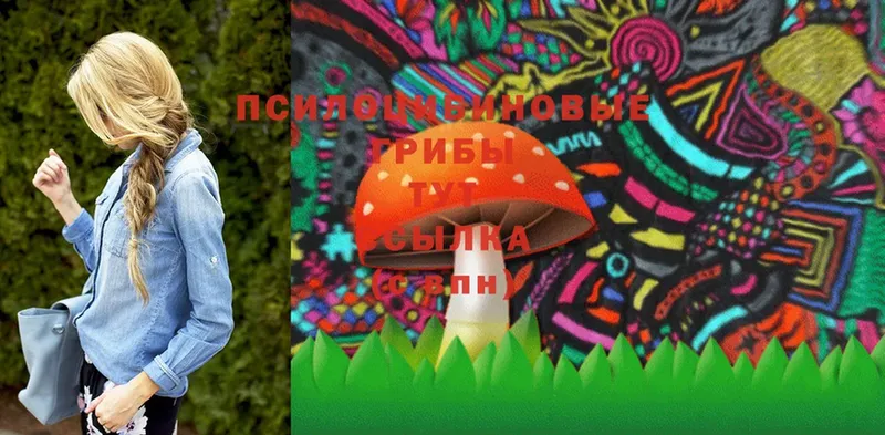 kraken   Ставрополь  Псилоцибиновые грибы MAGIC MUSHROOMS 