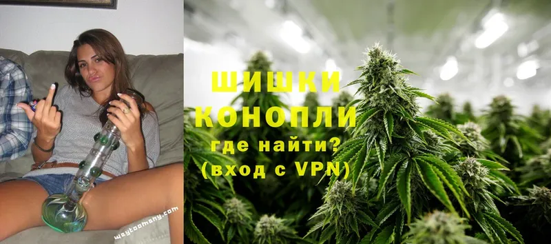 купить наркотики сайты  OMG рабочий сайт  Бошки марихуана White Widow  Ставрополь 